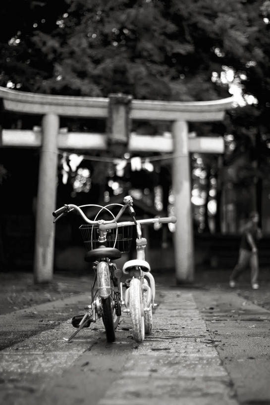 竖图,黑白,室外,白天,路,自行车,东京,日本,亚洲,日本文化,大门,首都,童年,摄影,神殿,东亚,本州,关东地方,本州岛,日本国,东京都,练马区