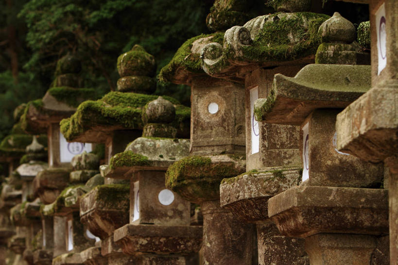 无人,横图,室外,特写,白天,重复,建筑,奈良县,日本,一排,日本文化,整齐,灯笼,苔藓,排列,摄影,队列,奈良公园,彩图
