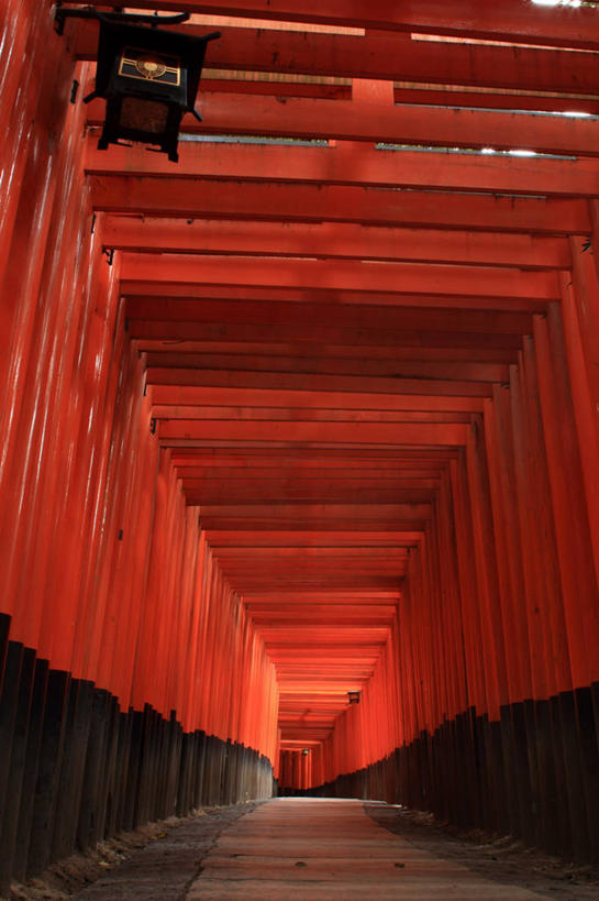 无人,竖图,室内,白天,重复,日本,一排,许多,日本文化,整齐,鸟居,很多,排列,红色,摄影,京都府,神殿,宗教建筑,队列,伏见区,彩图