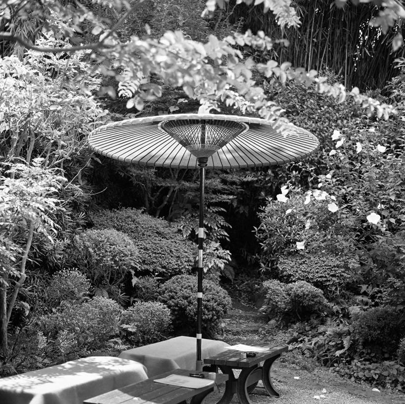 无人,横图,黑白,室外,白天,植物,桌子,日本,日本文化,横滨,阳伞,树,摄影,保护