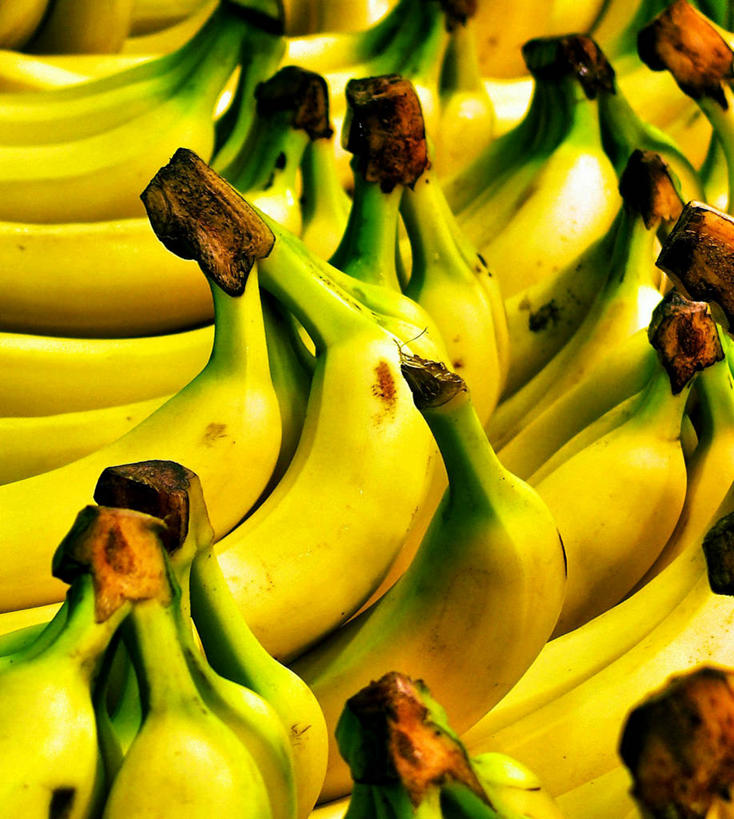 无人,竖图,室外,特写,白天,香蕉,水果,西班牙,巴塞罗那,丰富,市场,串,饮食,黄色,零售,摄影,清新,加泰隆尼亚,健康食物,彩图