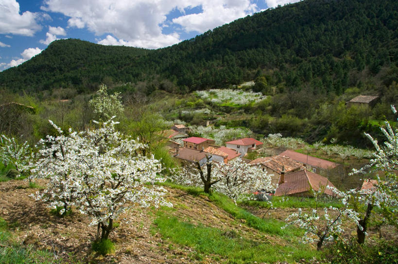 无人,横图,室外,白天,美景,山,西班牙,房屋,屋顶,景观,云,树,天空,自然,社区,景色,摄影,宁静,自然风光,布尔戈斯,彩图