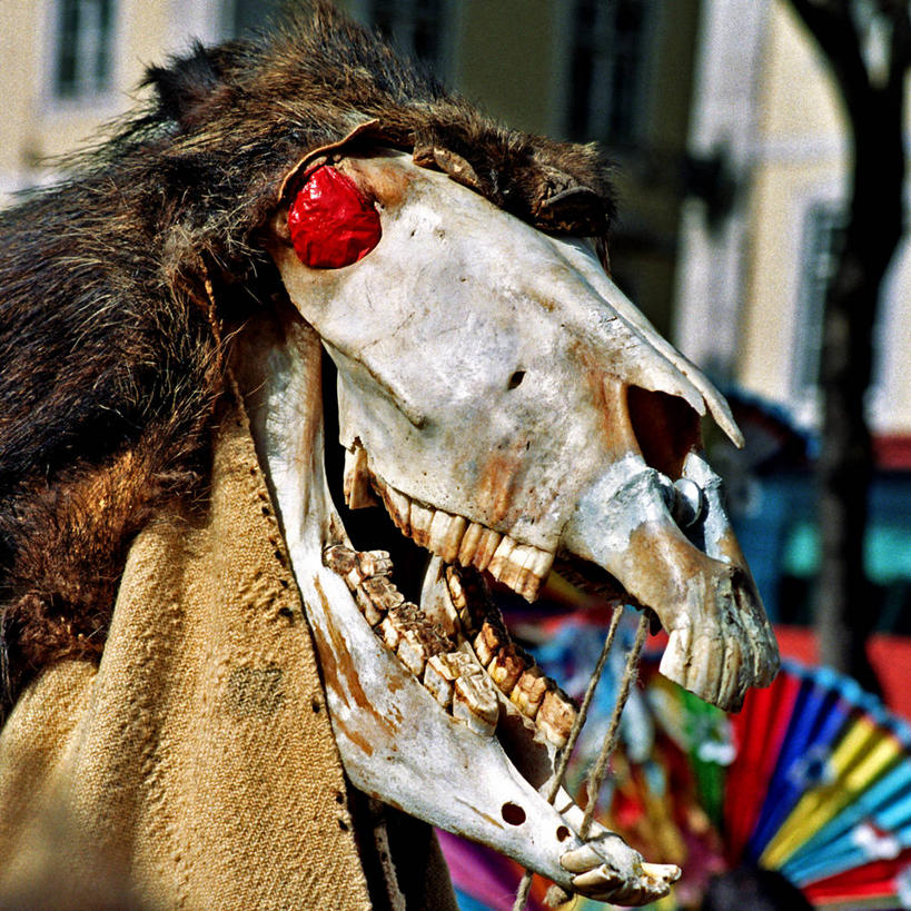 无人,方图,室外,白天,马,葡萄牙,狂欢节,头骨,首都,里斯本,摄影,创造力,想法,彩图