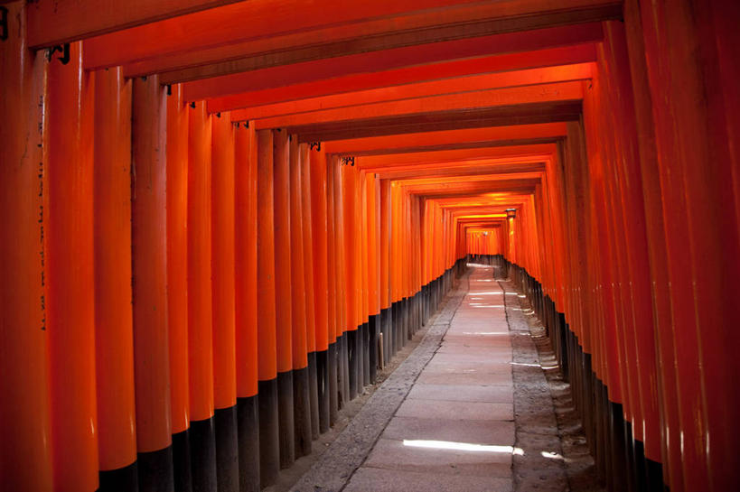 无人,横图,室内,白天,重复,京都,日本,亚洲,一排,日本文化,整齐,鸟居,排列,红色,摄影,宗教,佛教,京都府,神殿,队列,东亚,本州,本州岛,日本国,近畿地方,近畿,伏见稻荷大社,伏见区,彩图