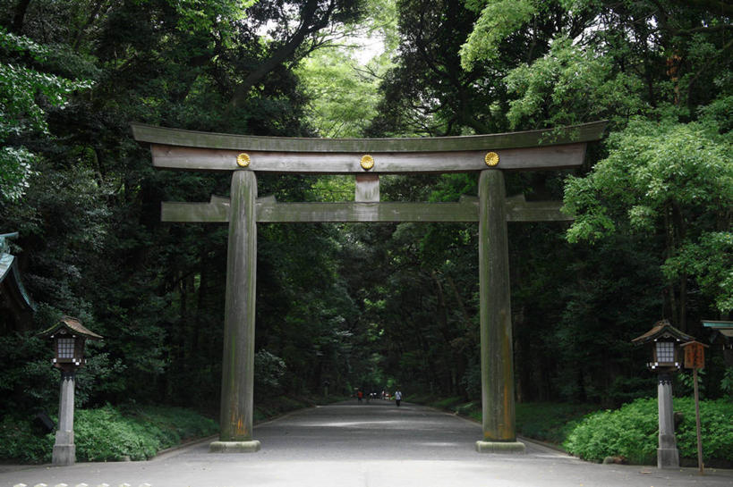 横图,室外,白天,东京,日本,日本文化,鸟居,笼子,鸟笼,首都,树,摄影,生长,明石寺,步行,彩图