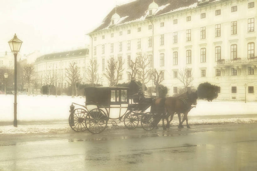 成年人,一个人,横图,阶调图片,室外,白天,雪,建筑,街道,路灯,马,奥地利,维也纳,仅一个男性,湿,冬天,首都,运输,摄影,总统府,霍夫堡宫,彩图