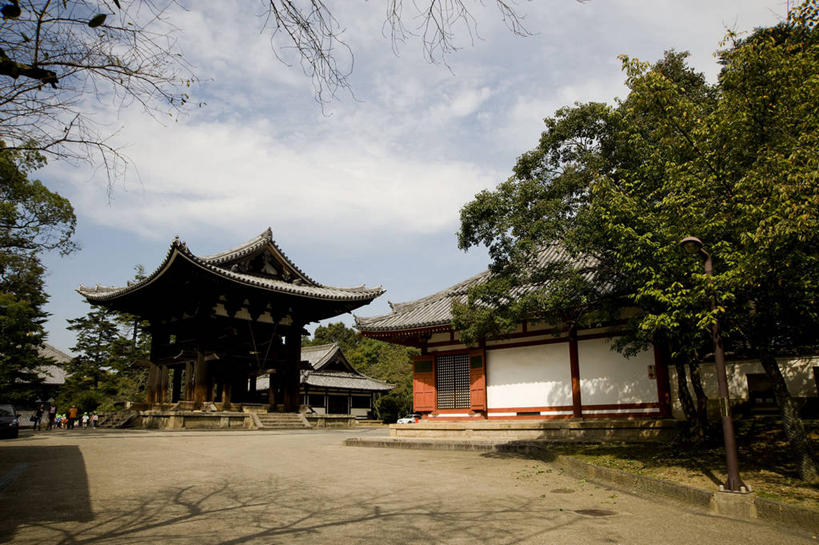 无人,寺庙,横图,室外,白天,奈良县,日本,日本文化,云,树,自然,摄影,宗教,宗教建筑,彩图,传统文化