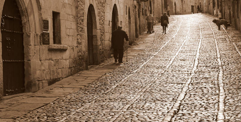 横图,阶调图片,室外,白天,建筑,街道,狗,西班牙,摄影,坎塔布利亚,步行,彩图