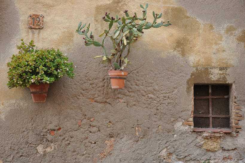 无人,横图,室外,白天,窗户,西班牙,吊挂,悬挂,房屋,墙,挂,摄影,生长,宁静,塔拉戈纳省,彩图