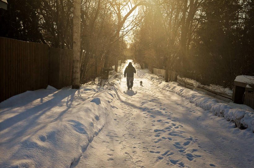 成年人,一个人,横图,室外,雪,宠物,狗,加拿大,仅一个男性,脚印,冬天,黎明,树,背面,自然,家畜,寒冷,摄影,剪影,马尼托巴湖,责任,步行,彩图,温尼伯湖,林荫大道