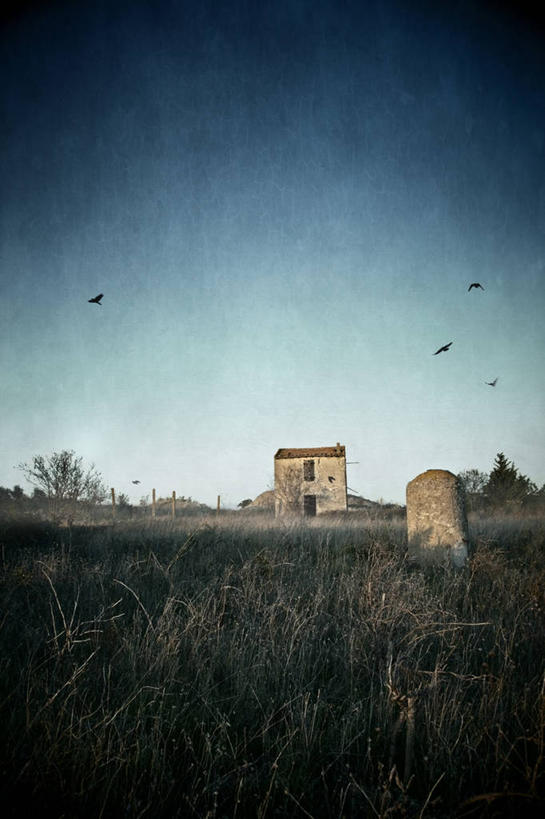 无人,竖图,室外,白天,留白,草地,美景,法国,欧洲,四只,废弃,鸟类,地形,景观,半空,飞,石墙,废墟,风景,自然,景色,摄影,报废,宁静,废物,西欧,法兰西,自然风光,丢弃,法国文化,放弃,抛弃,万里无云,法兰西共和国,法兰西第五共和国,摈弃,朗格多克.鲁西永,朗格多克.鲁西永大区,彩图,屏弃,摈斥,摒除,动物收容所,贝塞尔