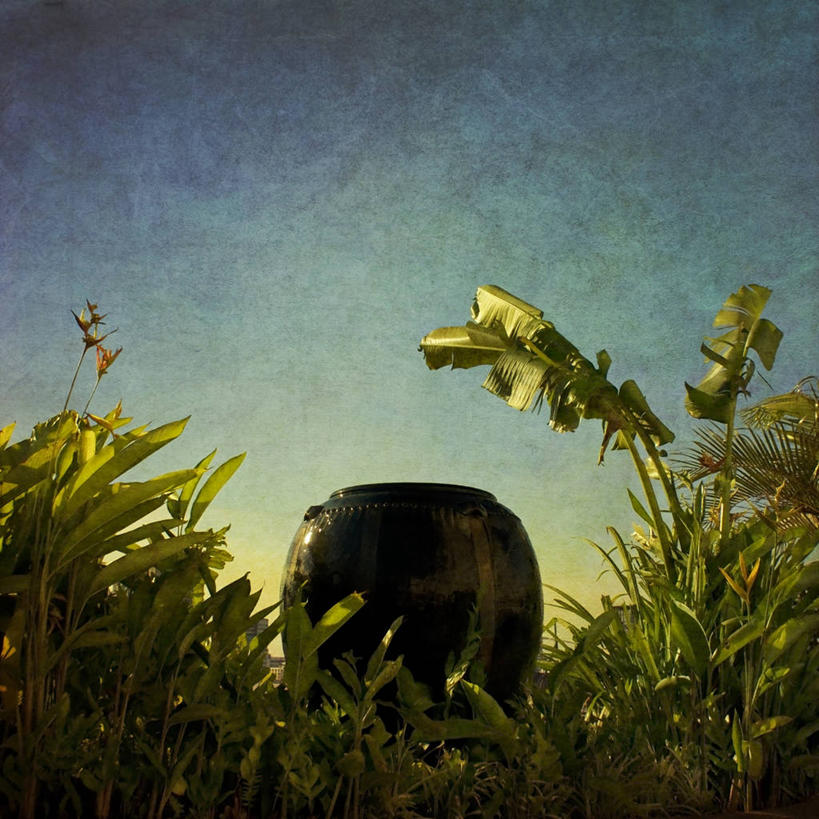 无人,方图,室外,白天,植物,花盆,曼谷,泰国,纹路,纹理,陶瓷制品,首都,天空,自然,摄影,巨大,庞大,生长,宁静,肌理,宏大,硕大,伟大,彩图,屋顶花园