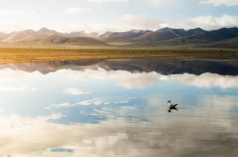 无人,横图,室外,白天,湖,美景,山,山脉,海鸟,海鸥,野生动物,漂浮,反射,景观,云,风景,天空,自然,动物,景色,摄影,自然风光,西藏自治区,潘塔纳尔湿地,彩图,淡水