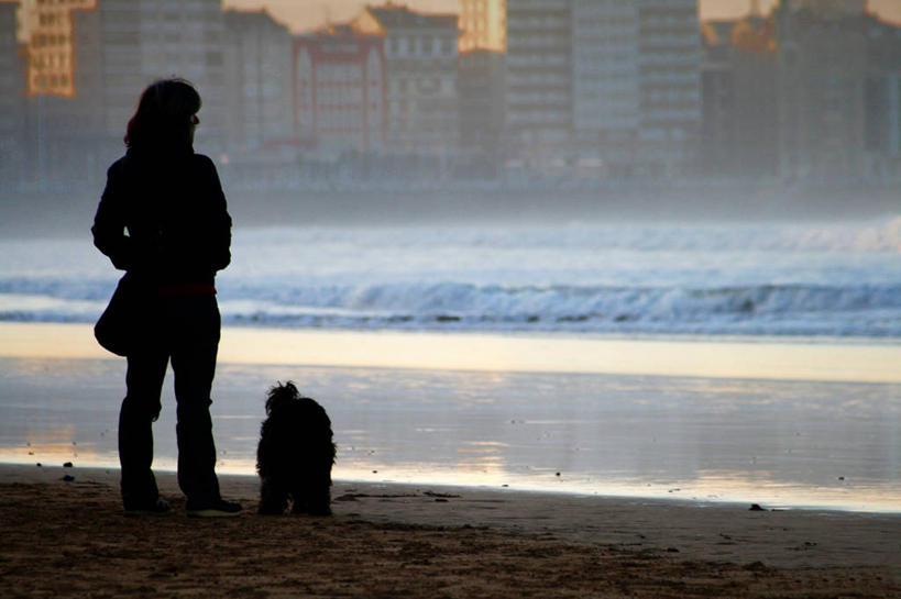 成年人,一个人,站,横图,室外,海洋,狗,西班牙,仅一个女性,黎明,背面,自然,波浪,家畜,摄影,宁静,剪影,阿斯图里亚斯,海滩,彩图,希洪,独处