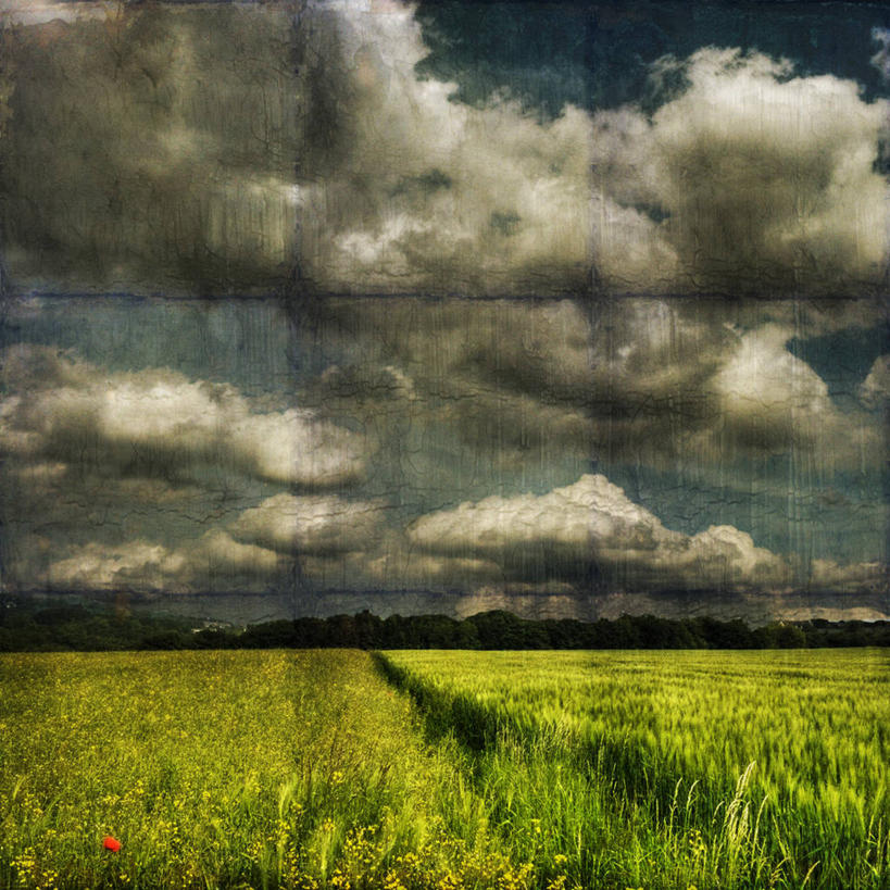 无人,方图,室外,白天,旅游,度假,农业,农作物,美景,德国,景观,田地,云,谷类,娱乐,风景,天空,自然,春天,享受,休闲,景色,放松,摄影,宁静,大麦,自然风光,伍珀塔尔,彩图,芸苔