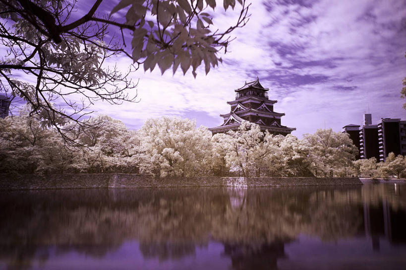 无人,横图,室外,白天,水,植物,建筑,广岛县,日本,日本文化,反射,城堡,云,枝,历史,天空,摄影,彩图