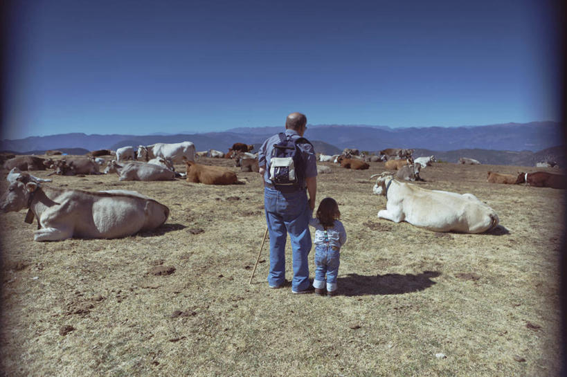 西方人,儿童,成年人,老年人,两个人,祖父,农场,横图,室外,白天,旅游,度假,纯洁,农业,牧场,美景,西班牙,欧洲,欧洲人,行人,游客,游人,景观,娱乐,路人,旅客,小孩,背面,自然,享受,休闲,景色,放松,可爱,童年,童趣,摄影,牲畜,自然风光,童真,烂漫,无邪,母牛,莱里达省,过客,天真,老年男性,男人,男性,女孩,女性,白种人,孩子,孙女,彩图,晕影,家牛,好奇心