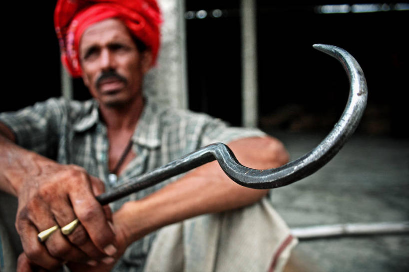 成年人,中年人,一个人,坐,横图,室外,特写,白天,正面,孟加拉国,亚洲,仅一个男性,仅一个人,仅一个中年男性,头巾,首都,拿着,休闲装,一个,思考,摄影,单个,南亚,镰刀,孟加拉人民共和国,达卡,男人,男性,中年男性,印度人,彩图,传统服装