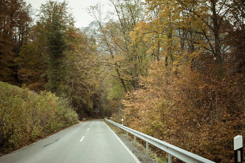 无人,横图,室外,白天,森林,植物,路,德国,路标,树,自然,运输,摄影,贝希特斯加登,彩图,防撞护栏