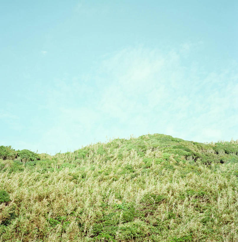 无人,竖图,室外,白天,森林,山,植物,风,静冈县,日本,云,天气,树,天空,自然,摄影,彩图