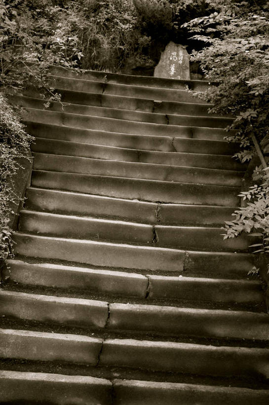 无人,竖图,阶调图片,室外,白天,植物,楼梯,长野县,日本,摄影,彩图