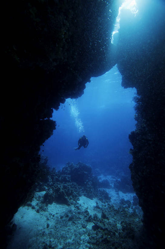 一个人,竖图,白天,度假,水下,海洋,日光,埃及,乐趣,潜水,摄影,洞穴,中东,享乐,红海,休闲活动,彩图