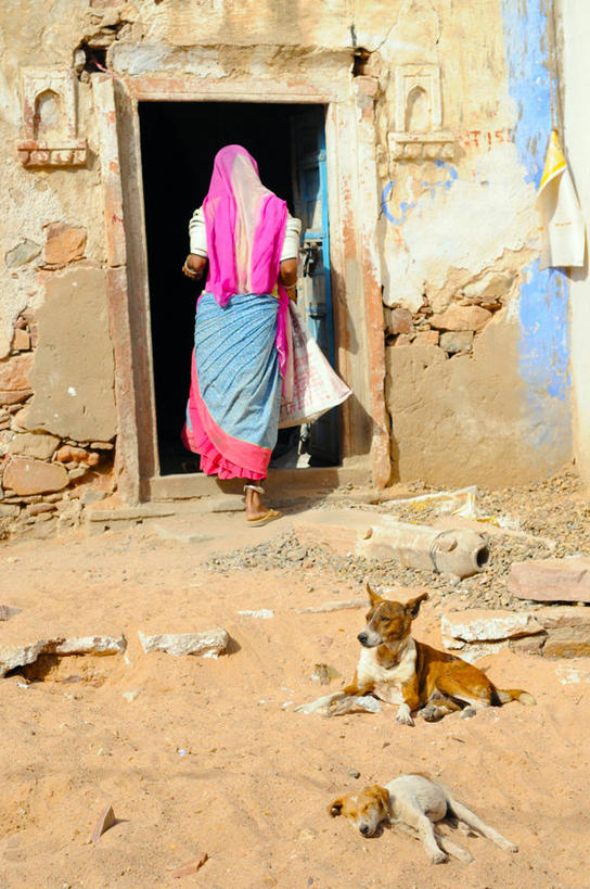 成年人,一个人,竖图,室外,白天,宠物,狗,印度,仅一个女性,沙子,房屋,古典,拿着,背面,动物,两只,家畜,摄影,进入,印度文化,纱丽,写实,焦特普尔,步行,彩图