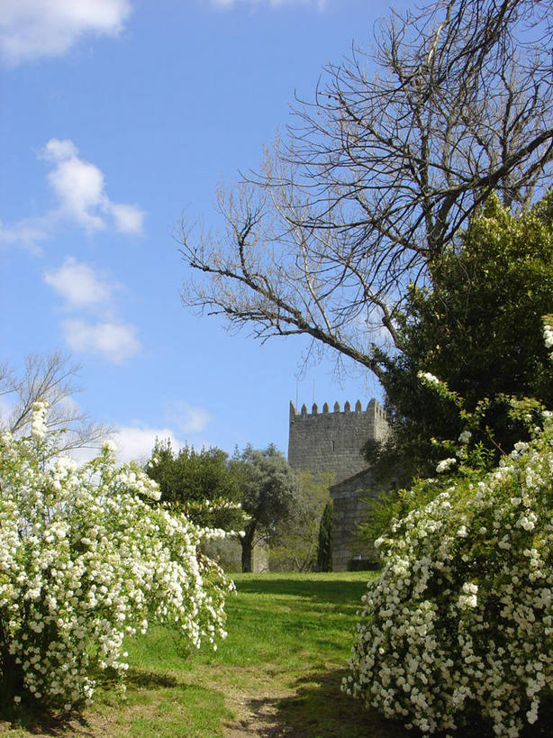 无人,竖图,室外,白天,植物,建筑,葡萄牙,城堡,云,天空,自然,摄影,米尼奥,彩图