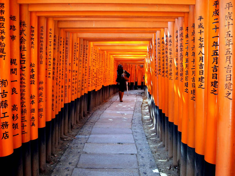 成年人,一个人,横图,室内,白天,重复,京都,日本,亚洲,仅一个女性,一排,日本文化,整齐,隧道,标志,文字,字符,字母,鸟居,挎包,休闲装,标识,排列,背面,摄影,京都府,神殿,队列,东亚,本州,本州岛,日本国,近畿地方,近畿,伏见稻荷大社,伏见区,步行,彩图