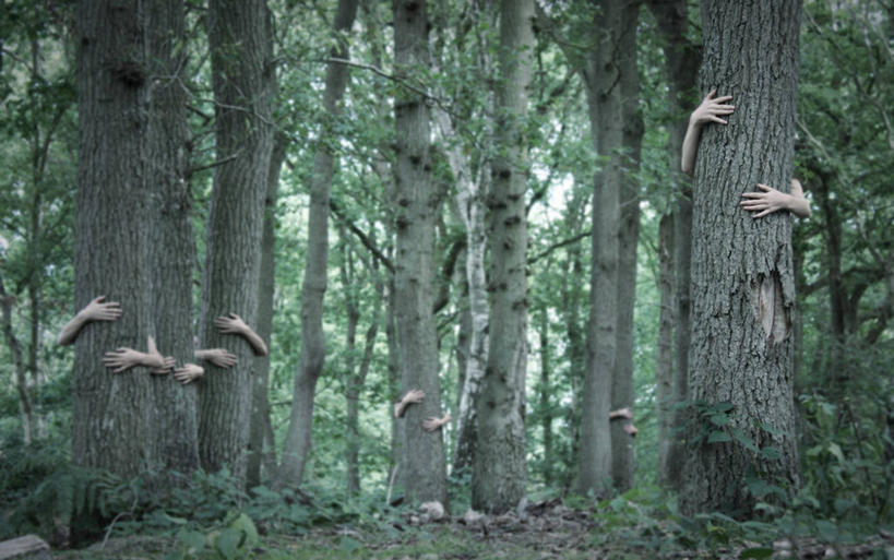 横图,室外,白天,森林,植物,英国,树,树干,自然,人体,摄影,生长,宁静,部分,关爱,四肢,想法,手臂,彩图