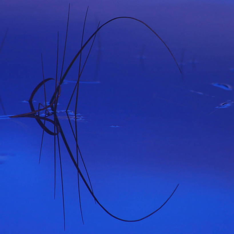 无人,方图,室外,白天,挪威,弯腰,冬天,草,自然,寒冷,摄影,宁静,彩图