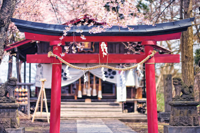 无人,横图,室外,白天,建筑,樱花,日本,日本文化,大门,鸟居,樱桃树,春天,摄影,宗教,佛教,宁静,神殿,青森县,弘前,彩图,传统文化