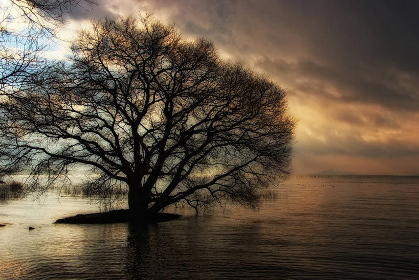 无人,横图,室外,湖,美景,日落,日本,反射,景观,乌云,天气,风景,天空,自然,景色,摄影,宁静,自然风光,剪影,滋贺县,琵琶湖,长滨,彩图