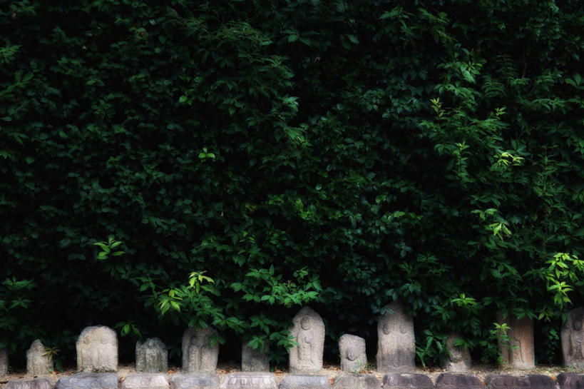 无人,横图,室外,白天,奈良县,日本,亚洲,一排,整齐,标志,雕像,符号,标识,树,排列,摄影,宗教,佛教,队列,东亚,本州,本州岛,日本国,近畿地方,奈良,近畿,性别符号,美术工艺,彩图,男性符号