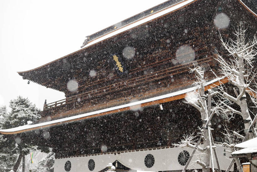 无人,横图,室外,白天,雪,日本,日本文化,下雪,顶部,树,天空,摄影,宗教,佛教,万里无云,彩图