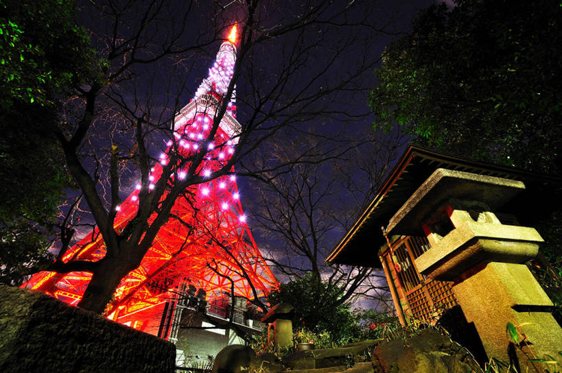 无人,横图,室外,夜晚,东京,日本,日本文化,冬天,塔,首都,树,天空,摄影,东京塔,照亮,组织,港区,彩图