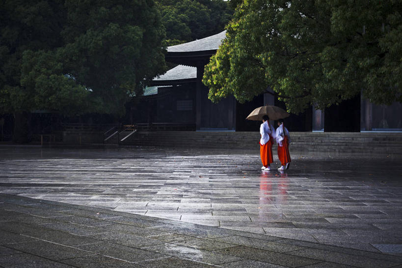 成年人,两个人,横图,室外,白天,东京,日本,亚洲,节日,日本文化,反射,伞,首都,拿着,文化,树,祈祷,健康,许愿,摄影,宗教,信仰,纪念,神道,祈求,神殿,东亚,本州,关东地方,本州岛,日本国,东京都,涩谷,涉谷,神道教,涩谷区,明石寺,平安,修女,步行,彩图,传统服装