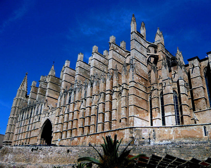 无人,教堂,横图,室外,白天,仰视,建筑,西班牙,拱门,天空,摄影,基督教,树梢,帕尔马,彩图,低角度拍摄,大教堂