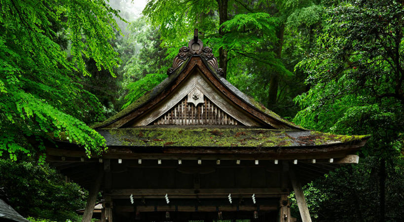 无人,横图,室外,白天,建筑,日本,湿,日本文化,屋顶,苔藓,树,自然,摄影,宗教,神殿,兵库县,彩图