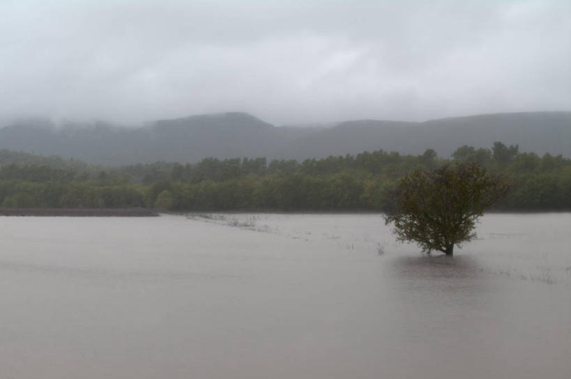 无人,横图,室外,白天,水,法国,田地,云,树,自然,摄影,宁静,彩图,水灾