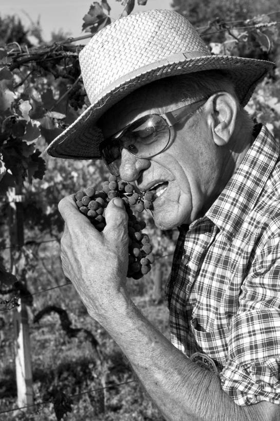 成年人,老年人,脸,头,脸颊,一个人,吃,竖图,黑白,室外,特写,白天,侧面,衬衫,葡萄,帽子,水果,意大利,仅一个男性,仅一个人,串,拿着,饮食,肩膀,太阳镜,仅一个老年男性,摄影,清新,健康食物,老年男性,男人,男性,头部,脸部,脸蛋,面部,亚历山德里亚省