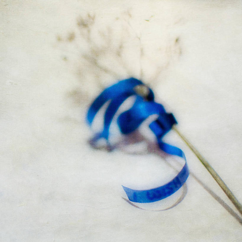 无人,方图,室内,特写,白天,运气,法国,纹路,文字,纹理,缎带,草,蓝色,摄影,脆弱,普罗旺斯,柔焦,改变,干的,肌理,土伦,彩图