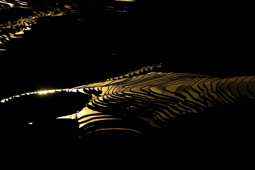 无人,横图,室外,旅游,度假,农业,美景,日落,水,反射,稻田,景观,娱乐,自然,享受,休闲,景色,放松,摄影,宁静,自然风光,元阳,云南省,彩图