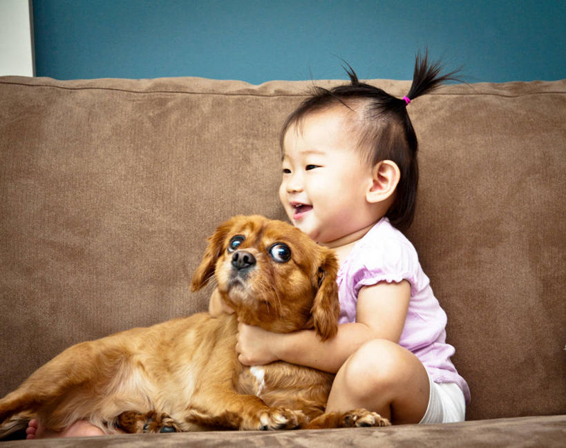 婴儿,儿童,一个人,坐,微笑,横图,室内,白天,婴儿服装,幸福,纯洁,沙发,宠物,美国,仅一个人,小孩,可爱,童年,童趣,摄影,活泼,起居室,宝宝,童真,纯真,烂漫,无邪,斯班尼犬,伶俐,天真,孩子,彩图,朝鲜族