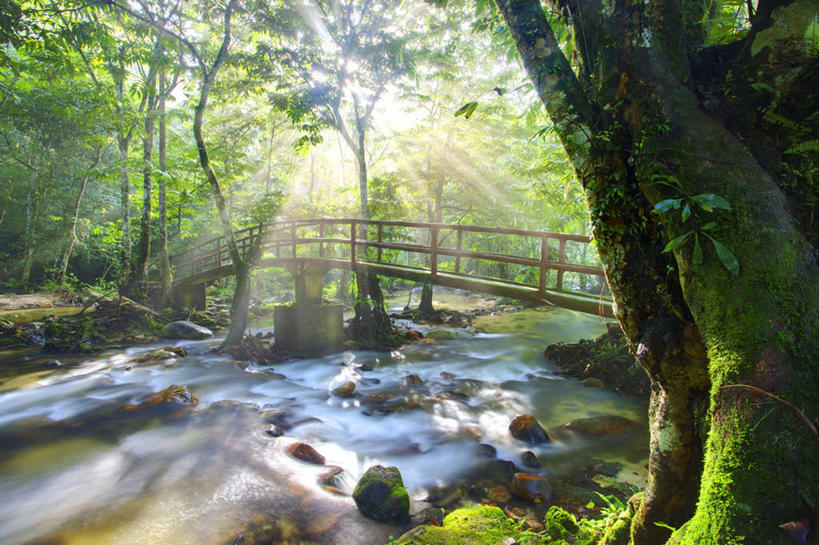 无人,横图,室外,白天,长时间曝光,美景,水,植物,马来西亚,景观,流水,桥,苔藓,联系,树,树干,绿色,自然,景色,摄影,宁静,自然风光,州立公园,雪兰莪州,岩石,彩图