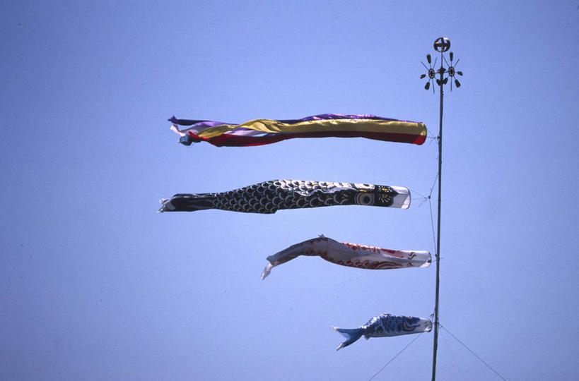 无人,横图,室外,白天,仰视,锦鲤,日本,亚洲,吊挂,悬挂,庆祝,日本文化,挂,杆,风筝,摄影,多样,儿童节,东亚,本州,万里无云,本州岛,日本国,中部地方,新潟,新潟县,彩图,低角度拍摄,传统文化