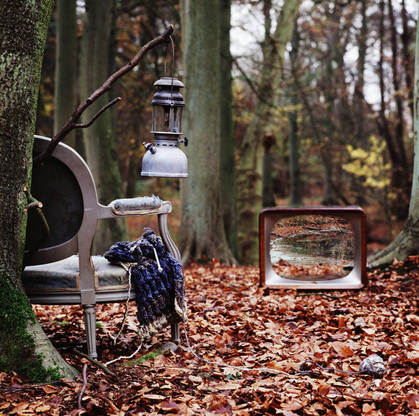 无人,横图,室外,白天,异乎寻常,森林,叶子,椅子,荷兰,古典,树,树干,自然,摄影,宁静,油灯,改变,干的,电视机,秋天,彩图
