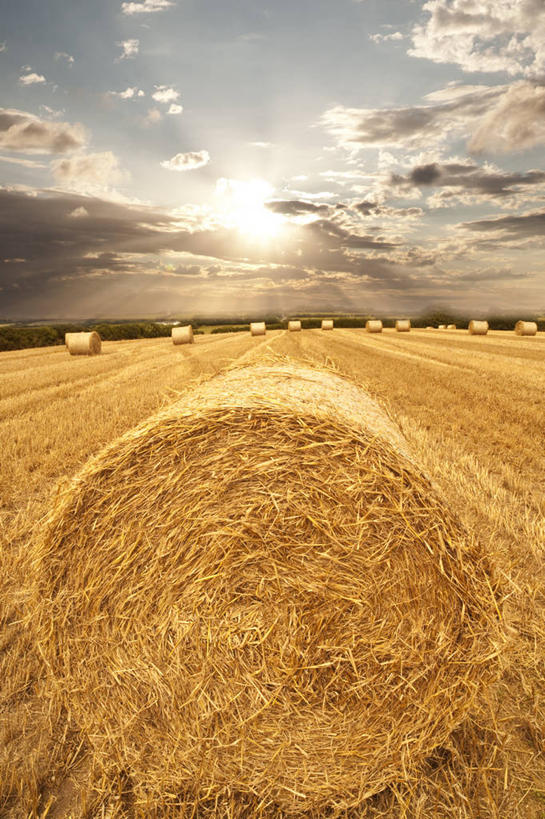 无人,竖图,室外,特写,农业,美景,日落,日光,英国,景观,田地,晚霞,霞光,云,落日,干草,天空,自然,黄昏,草垛,景色,彩霞,摄影,宁静,自然风光,夕照,薄暮,干草垛,夕阳,彩图,傍晚,斜阳