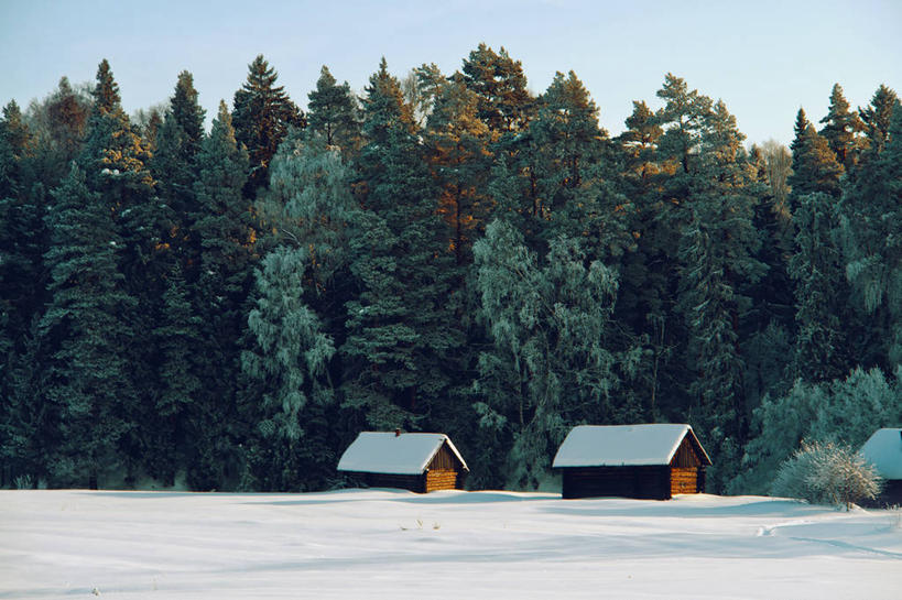 无人,横图,室外,白天,森林,建筑,松树,俄罗斯,乡村,冬天,树,自然,摄影,宁静,彩图
