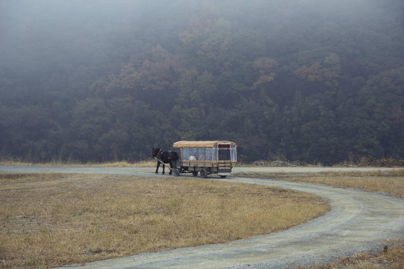 无人,横图,室外,白天,雾,马,日本,地形,天气,自然,运输,摄影,京都府,彩图,单行道